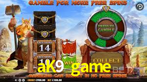 Descubra o Mundo do Cassino Online com aK9 game